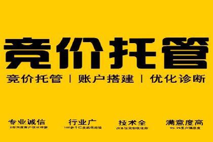 解析不同平台的信息流广告投放策略——以XX平台为例